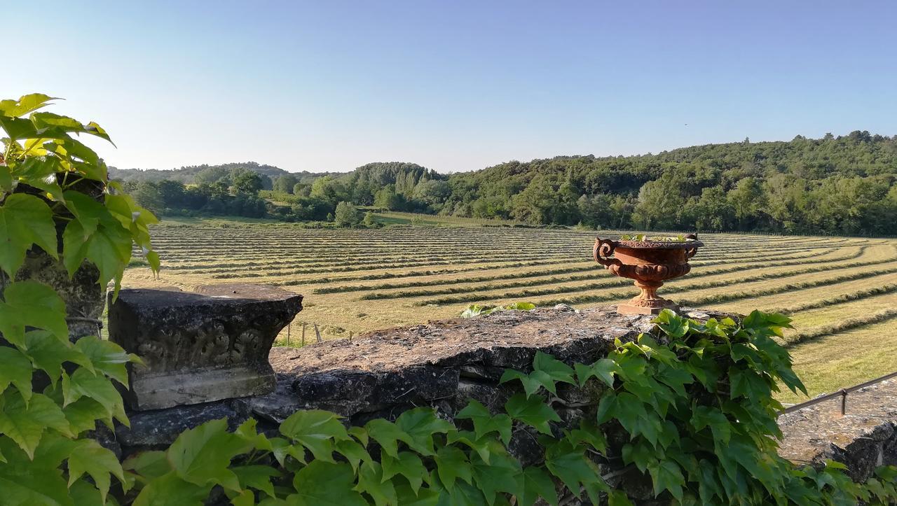 Mas Du Moutet Bed and Breakfast La Capelle-et-Masmolene Buitenkant foto